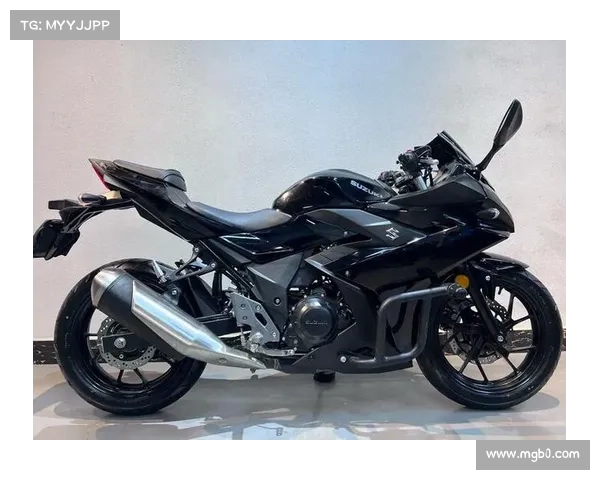 V型双缸 VS L型双缸！本田VTR250与铃木GW250引擎终极对决，如何选